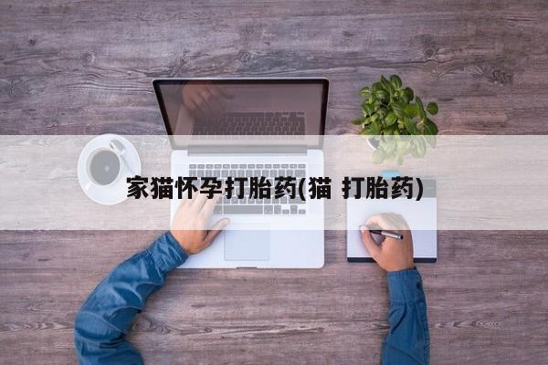 流产药网上专门卖店微信家猫怀孕打胎药(猫 打胎药)