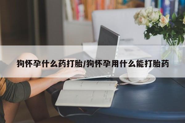 流产药网上专门卖店微信狗怀孕什么药打胎/狗怀孕用什么能打胎药